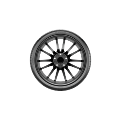 Pirelli P Zero MS