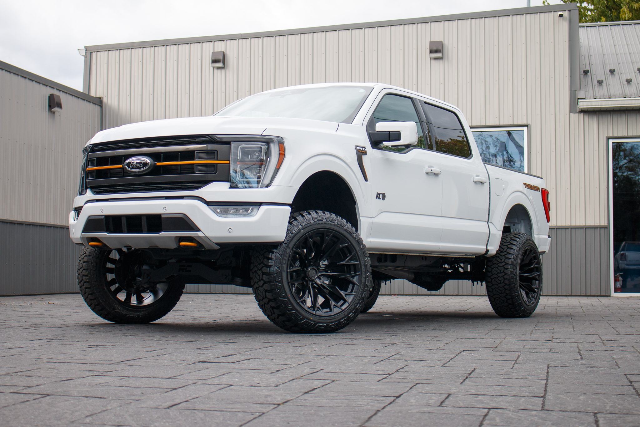 2023 Ford F-150 Platinum #PFA00669