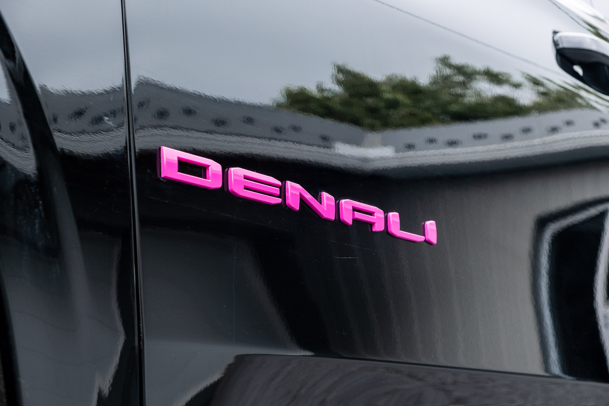 denali side badge color match pink